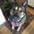 Judy Brower Burk's profile image