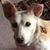Dawn Younie's profile image