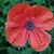 Kathy Laughlin's profile image