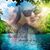 Jennylo Rouse's profile image
