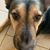 Sherry Smithee's profile image