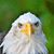 Aimee Bruyer's profile image