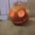 Heather Daniels's profile image