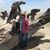 Denise Vastola's profile image