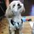 Jeanette Jacques's profile image