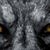 Jk Kn's profile image