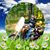 Jim Peters's profile image