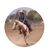 Nancy Luker Baker's profile image