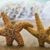 Denise Zech Rhodes's profile image