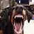 Julie Westphal's profile image