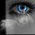 Ellen LaPergola's profile image