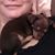 Christine Ceniceros's profile image