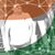 Randhir K Kothari's profile image