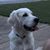 Gerri Mercer Jones's profile image
