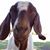Steven Beatty's profile image
