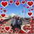 Elizabeth Corsini's profile image