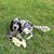 Joanne Siefring Cronauer's profile image