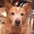 Carol Tubb Reeves's profile image