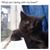 Leanne O'Connor's profile image