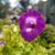 Lori Dunn's profile image
