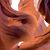 Lynn Swett Mastilovic's profile image