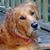 Marilyn Anne Blythe's profile image