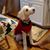Rhonda Wright Hershelman's profile image