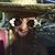 Crystal Rerich's profile image