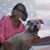 Darla Haggard Dennis's profile image