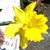Kitza Williams's profile image