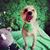 Rhonda Anderson's profile image