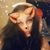 Heidi Picklesimer's profile image