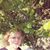 Priscilla Anne Campbell's profile image