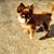 Debbie Benbow-Hochstetler's profile image