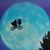 Mehmet Arif Üngör's profile image