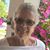 Judy DiBello's profile image