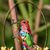 Oscar Chaves's profile image