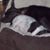 Mickie Justforgames Kikas's profile image