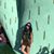 Alexandra Dames's profile image