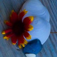 B Etts NiNa's profile image