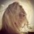 Beth Newton Snyder's profile image