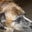 Suzette Cloutier's profile image