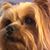 Linda D Woods's profile image