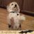Sheri Higbee-Martens's profile image