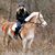 Dottie Sanford's profile image