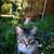 Teresa McCormack's profile image