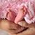 Arun Ajithkumar's profile image