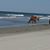 Linda Sweeney's profile image