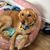 Jodi R Gillman's profile image