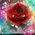 moonfire926's profile image
